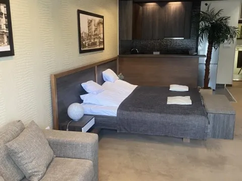 Izdavanje, jednosoban stan, 55m², Savski Venac, Beograd - image 5