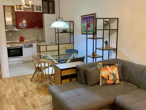 Izdavanje, jednosoban stan, 45m², Zabjelo, Podgorica - image 4