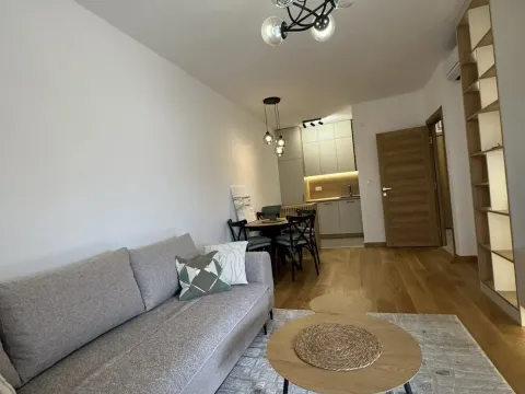 Izdavanje, jednosoban stan, 45m², City Kvart, Podgorica - image 7