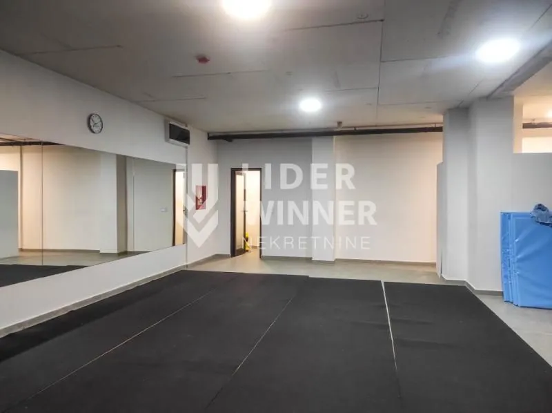 Izdavanje, poslovni prostor, 80m², Novi Beograd Blok 65, Novi Beograd Sve Podlokacije