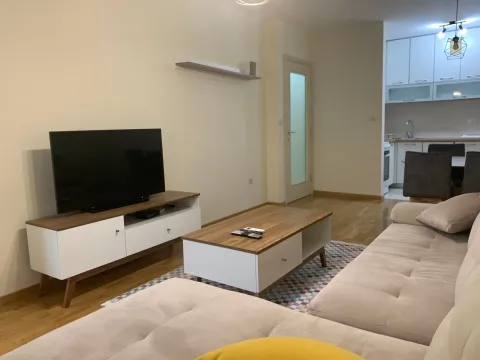 Rent, one bedroom apartment, 45m², Zagorič, Podgorica - image 2