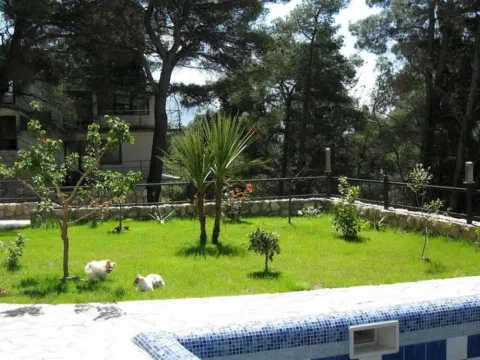 Prodaja, kuća, 420m², Zeleni Pojas, Bar - image 6