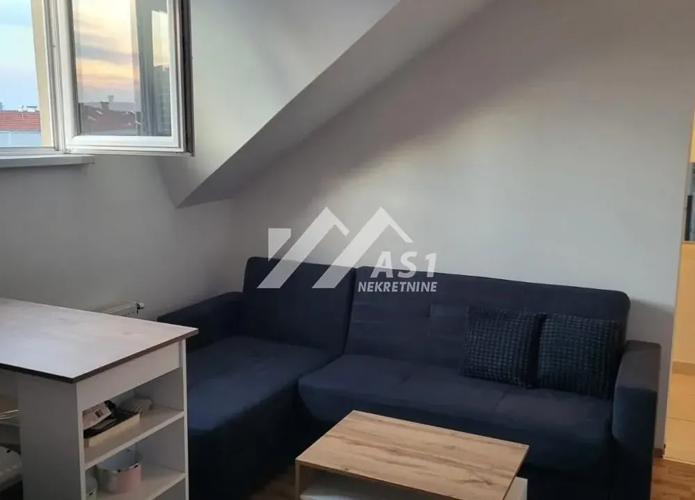 Izdavanje, jednosoban stan, 30m², Bulevar patrijarha Pavla, Novi Sad Sve Podlokacije