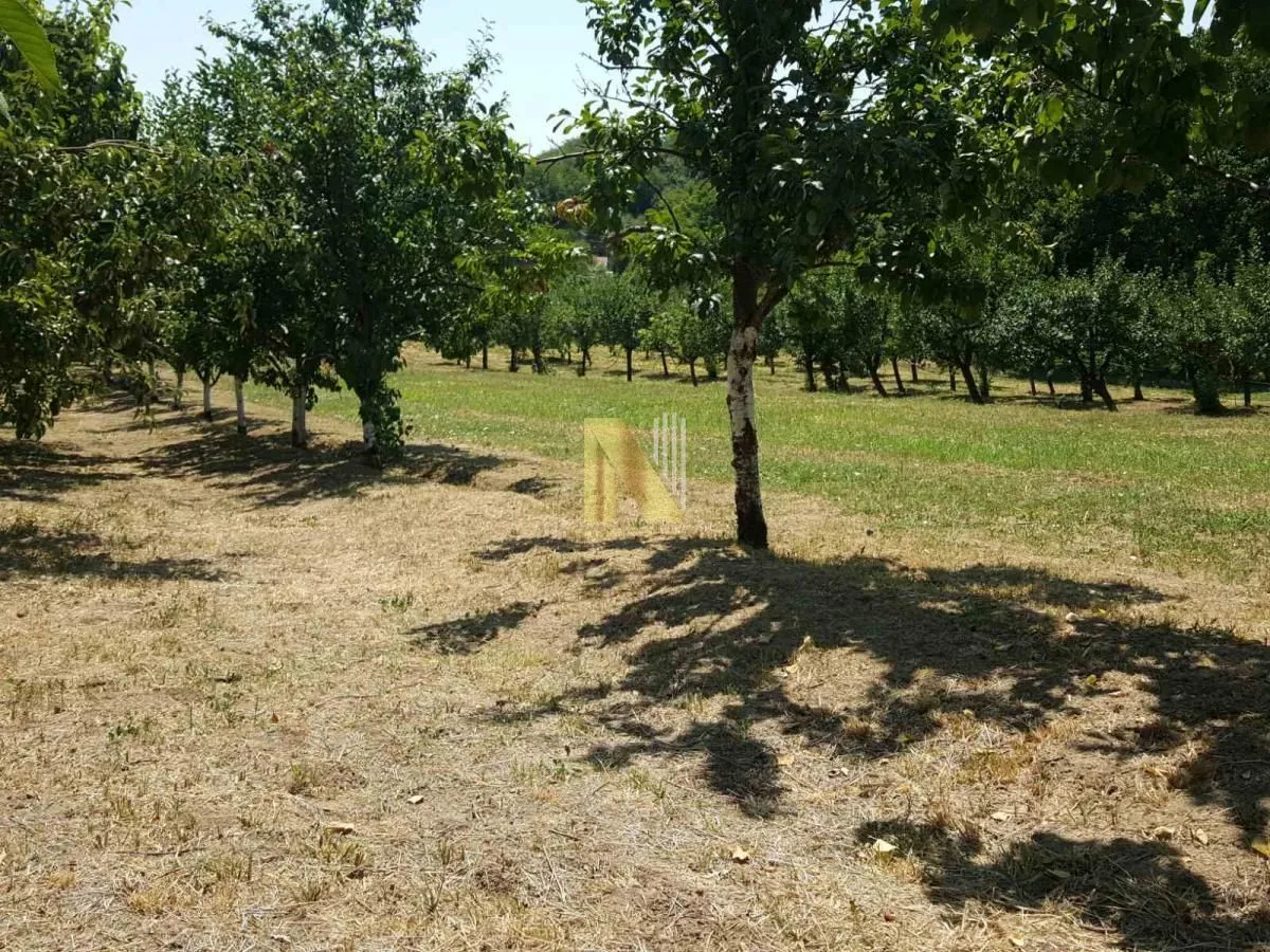 Prodaja, kuća, 65m², Čortanovci, Inđija