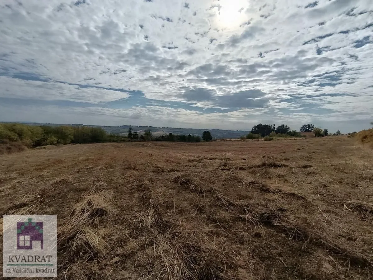 Pogled na prostrano zemljište sa travom i niskim rastinjem pod oblačnim nebom.