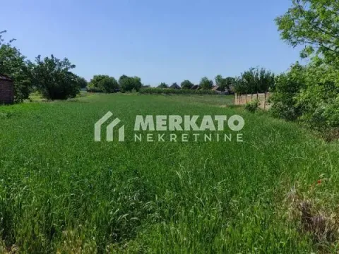 Prodaja, plac, 2500m², Elemir, Zrenjanin - image 2