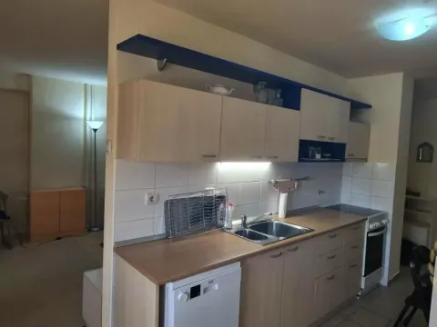 Izdavanje, dvosoban stan, 55m², Botanička Bašta, Palilula Sve Podlokacije - image 4