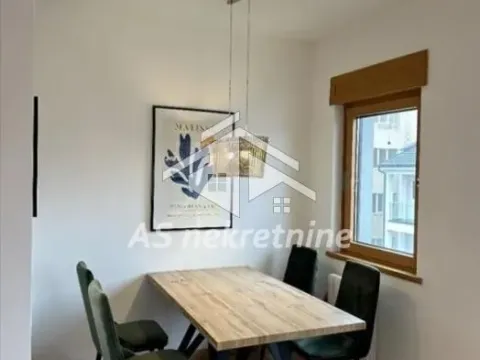 Izdavanje, dvosoban stan, 55m², Južni Bulevar, Vračar Sve Podlokacije - image 6