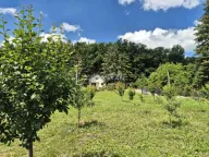 Prodaja, kuća, 54m², Grocka, Beograd - image 1