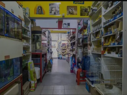 Rent, office space, 33m², Detelinara, Novi Sad Sve Podlokacije - image 2