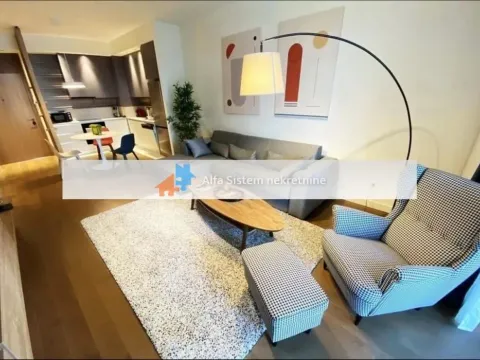 Izdavanje, dvosoban stan, 71m², Savski Venac, Beograd - image 5