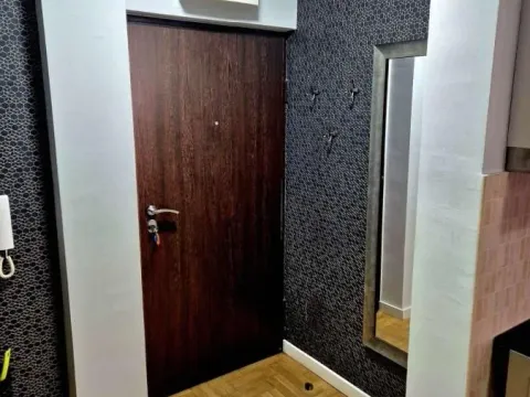 Rent, one bedroom apartment, 30m², Lekino Brdo, Voždovac Sve Podlokacije - image 9