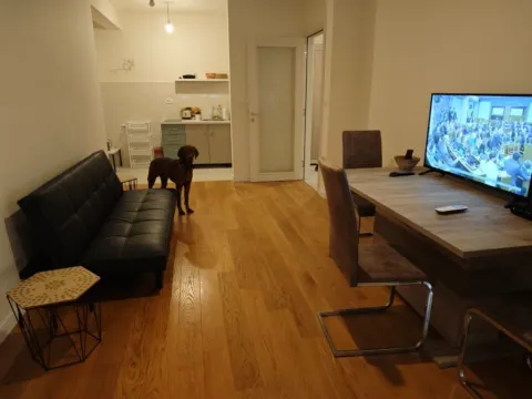 Izdavanje, jednosoban stan, 51m², Central Point, Podgorica