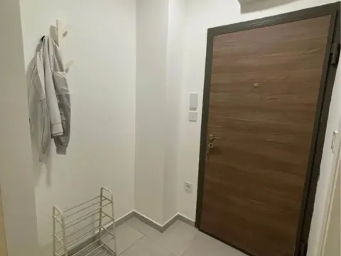 Rent, apartment, 42m², Ljubović, Podgorica - image 4