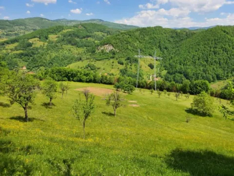 Sale, land lot, 44000m², Rasadnik, Bijelo Polje - image 9