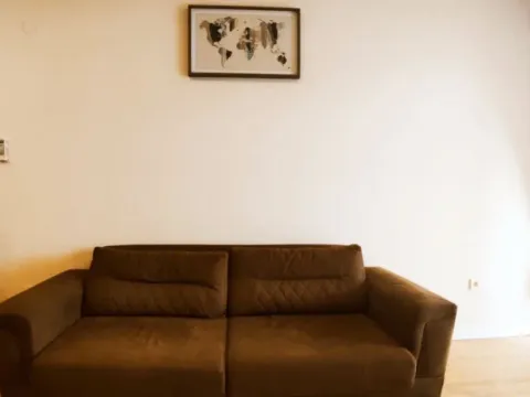 Izdavanje, jednosoban stan, 47m², Tree cane, Budva - image 4