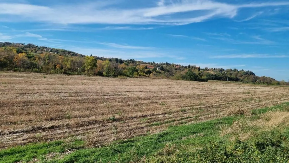 Sale, land lot, 234m², Sremski Karlovci, Novi Sad