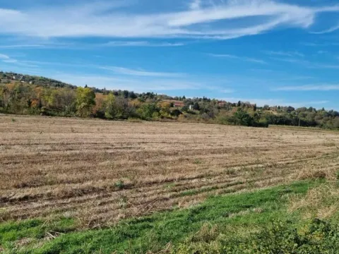 Prodaja, plac, 234m², Sremski Karlovci, Novi Sad