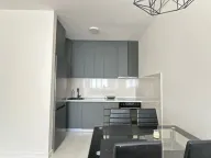 Izdavanje, jednosoban stan, 50m², Central Point, Podgorica - image 5