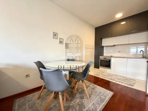 Izdavanje, jednosoban stan, 45m², Stari Aerodrom, Podgorica - image 4