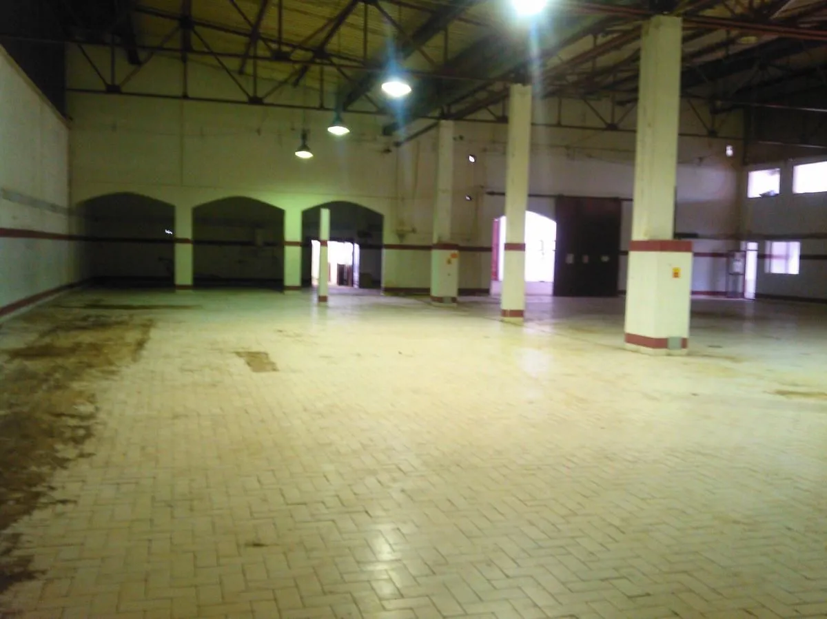Rent, office space, 1840m², Futog, Novi Sad Sve Podlokacije