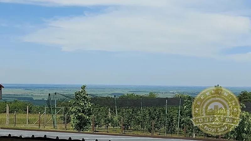 Prodaja, kuća, 76m², Sremski Karlovci, Novi Sad