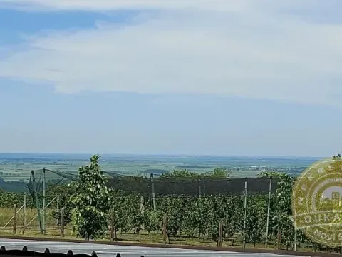 Sale, house, 76m², Sremski Karlovci, Novi Sad - image 13