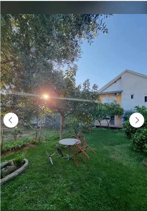 Dvorište kuće sa zelenim travnjakom, drvećem i baštenskim stolom pod suncem.