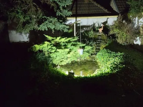 Prodaja, kuća, 300m², Telep, Novi Sad Sve Podlokacije - image 8