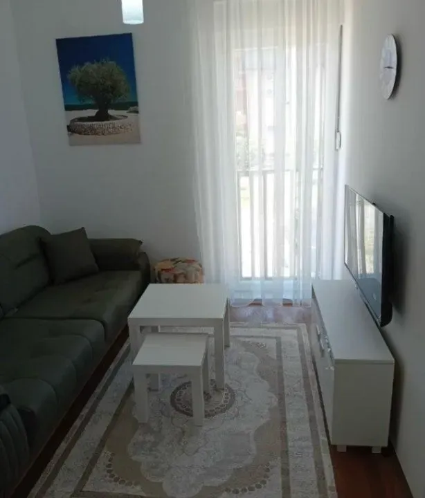 Izdavanje, jednosoban stan, 30m², Central Point, Podgorica