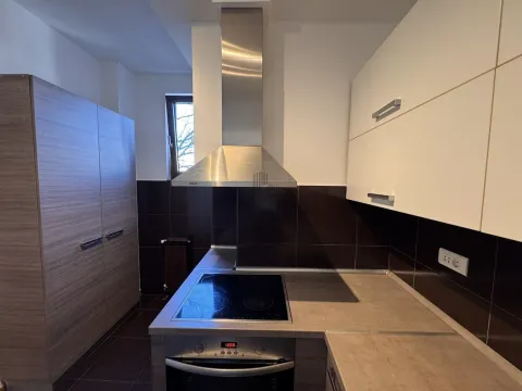 Rent, three bedroom apartment, 81m², Kalenić Pijaca, Vračar Sve Podlokacije - image 8