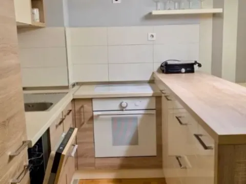 Izdavanje, jednosoban stan, 50m², Ljubović, Podgorica - image 7