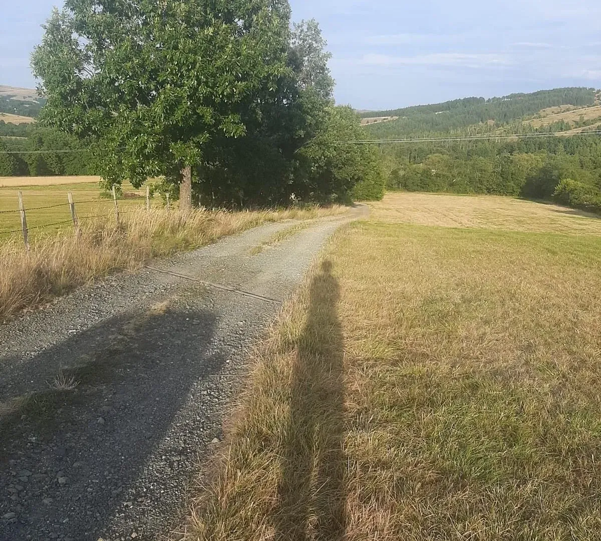 Prodaja, plac, 1000m², Tometino Polje, Požega