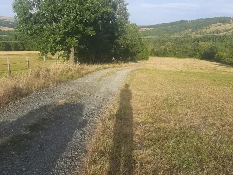 Prodaja, plac, 1000m², Tometino Polje, Požega - image 7