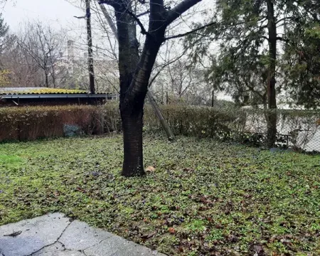 Prodaja, kuća, 400m², Savski Venac, Beograd - image 15