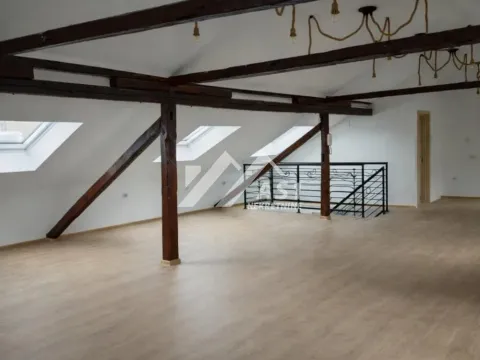 Izdavanje, poslovni prostor, 240m², Sajam, Novi Sad Sve Podlokacije - image 7