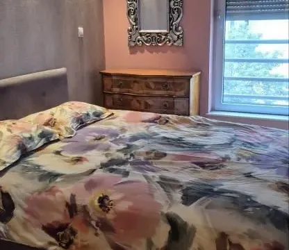 Rent, two bedroom apartment, 55m², Vračar Sve Podlokacije, Beograd - image 8