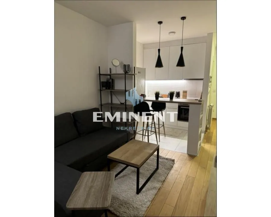 Rent, two bedroom apartment, 35m², Južni Bulevar, Vračar Sve Podlokacije