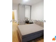 Izdavanje, dvosoban stan, 67m², Novi Beograd Sve Podlokacije, Beograd - image 15