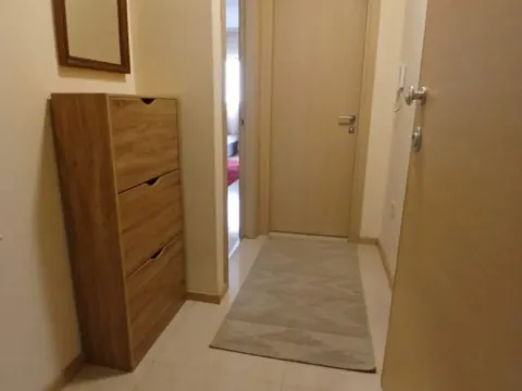 Izdavanje, jednosoban stan, 45m², City Kvart, Podgorica - image 2