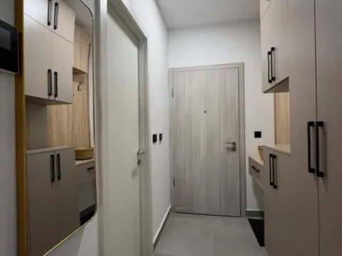 Izdavanje, jednosoban stan, 44m², Kruševac, Podgorica - image 8