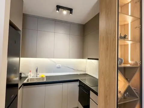 Izdavanje, jednosoban stan, 50m², Central Point, Podgorica - image 4