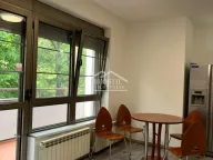 Izdavanje, kuća, 303m², Košutnjak, Beograd - image 7