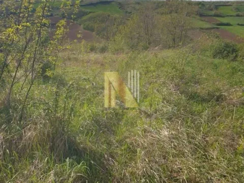 Prodaja, plac, 2500m², Novi Sad, Srbija - image 4