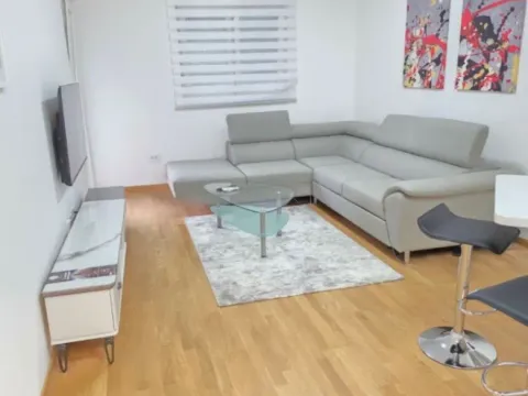 Izdavanje, jednosoban stan, 48m², Stari Aerodrom, Podgorica