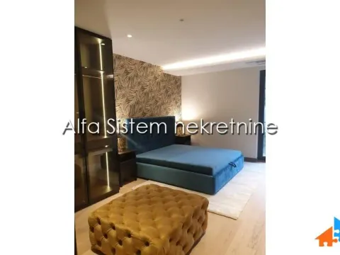 Izdavanje, dvosoban stan, 104m², Vračar Centar, Vračar Sve Podlokacije - image 7