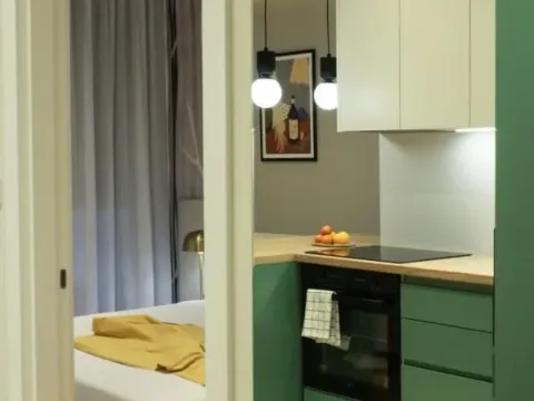 Izdavanje, dvosoban stan, 42m², Bulevar Oslobodjenja, Novi Sad Sve Podlokacije - image 9