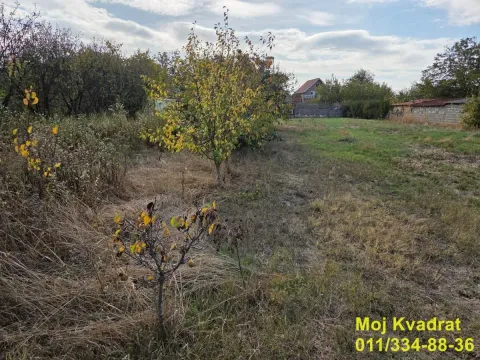 Pogled na prostrano dvorište sa voćem i travnjakom. - image 5