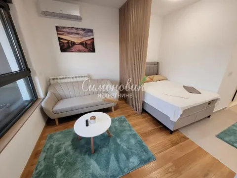 Rent, one bedroom apartment, 30m², Autokomanda, Voždovac Sve Podlokacije - image 6
