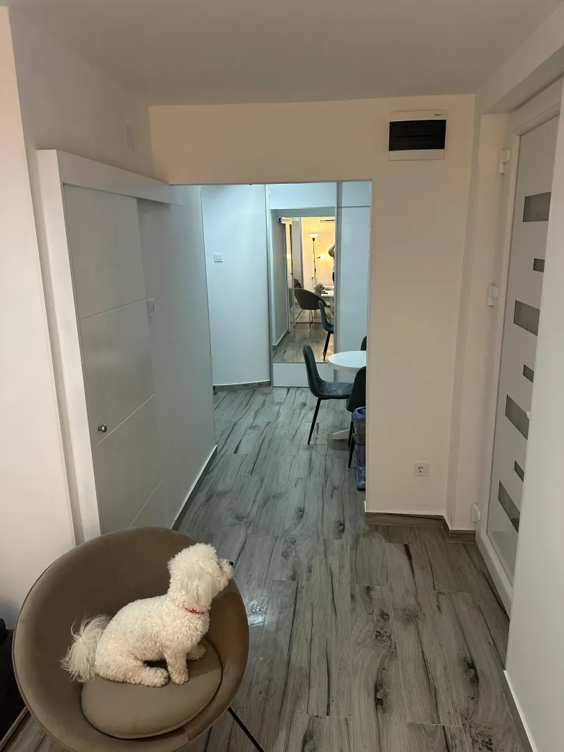 Rent, studio apartment, 30m², Gorica C, Podgorica